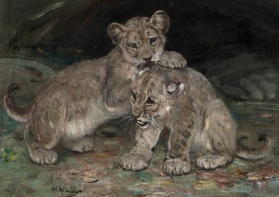 Cuccioli di leone, c.1906 da William Walls